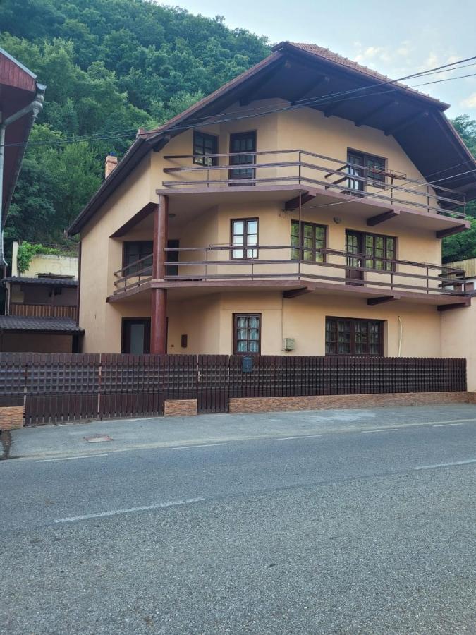 Willa Casa Basu Băile Herculane Zewnętrze zdjęcie