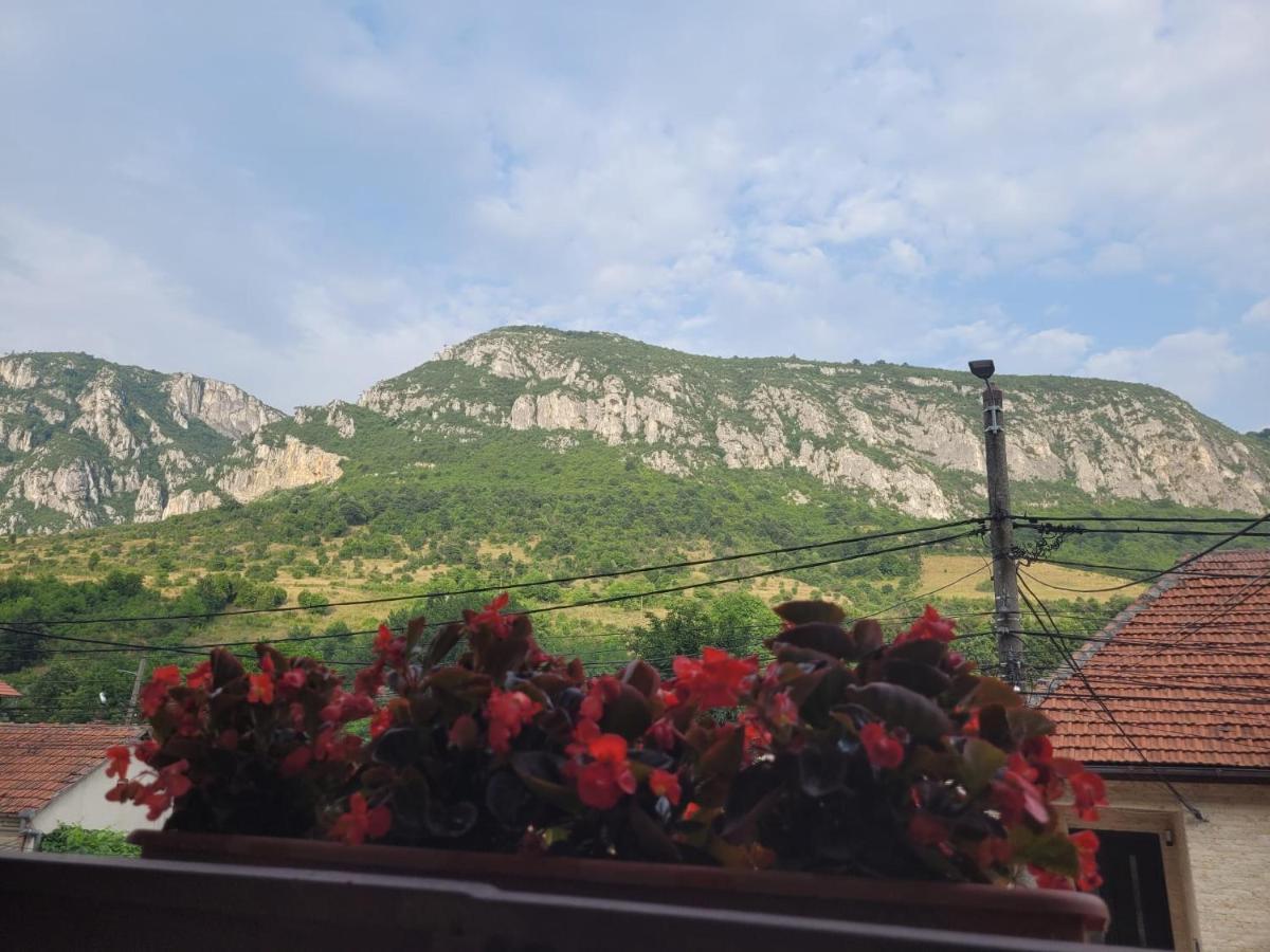 Willa Casa Basu Băile Herculane Zewnętrze zdjęcie