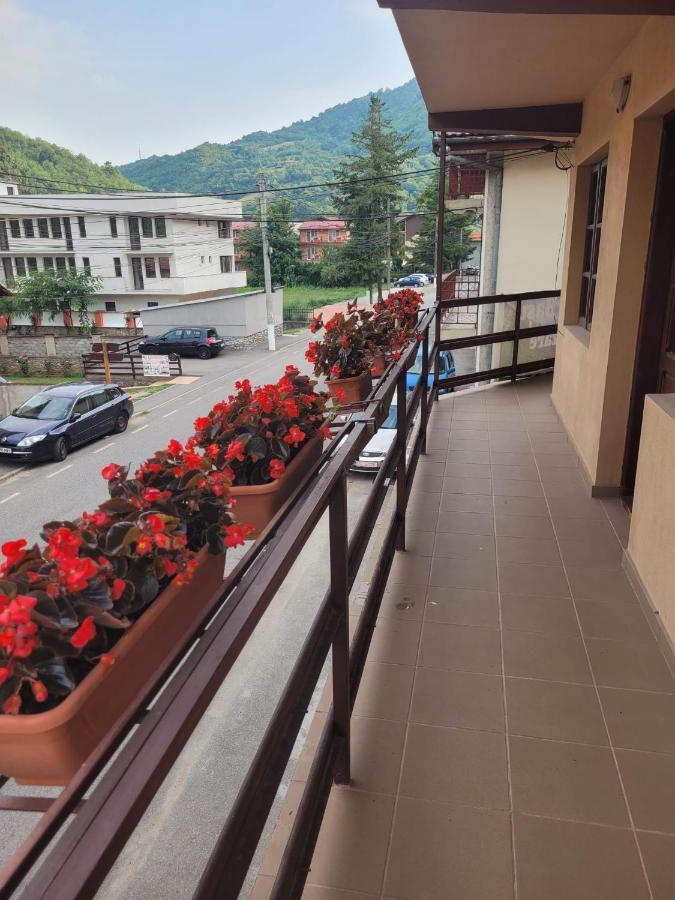 Willa Casa Basu Băile Herculane Zewnętrze zdjęcie