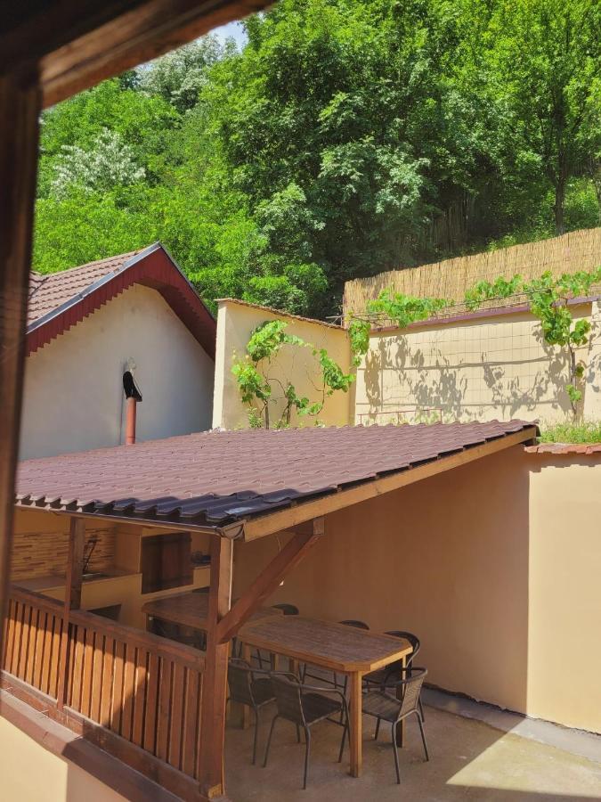 Willa Casa Basu Băile Herculane Zewnętrze zdjęcie